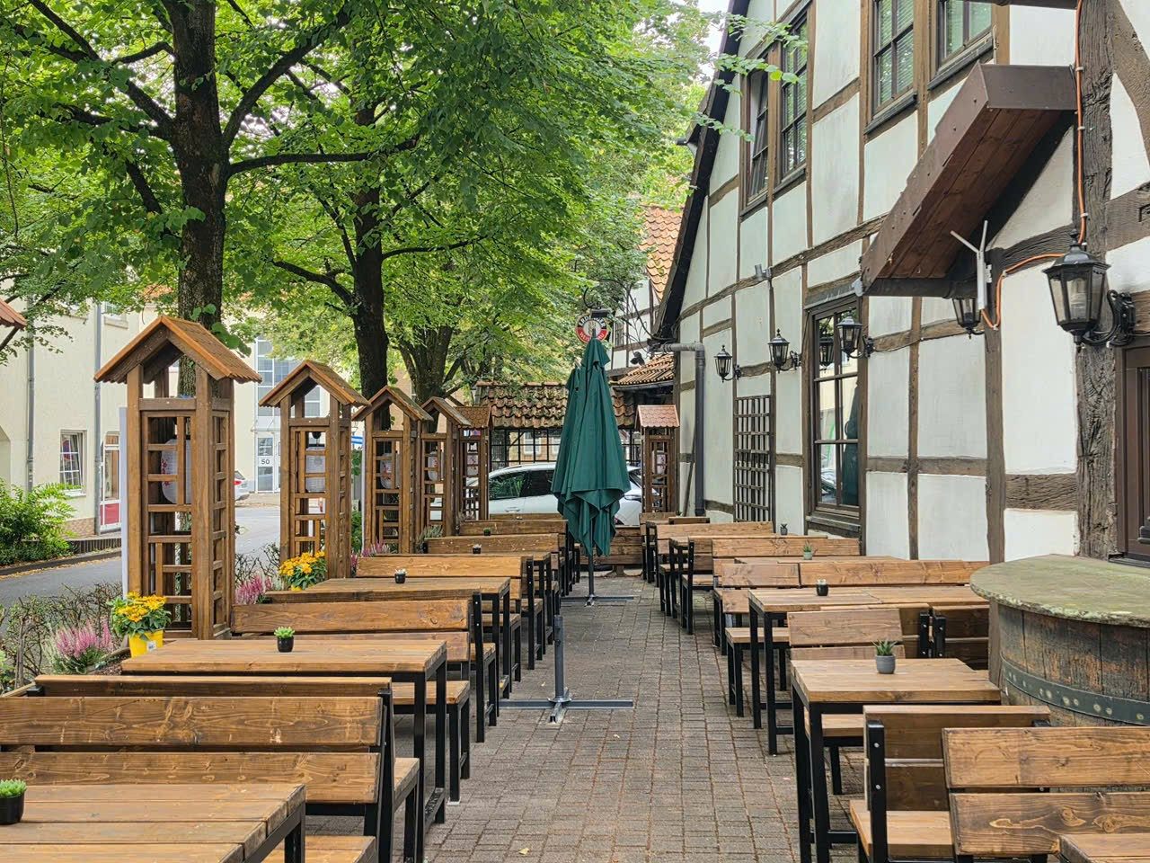 JURY Terrasse unter alten Bäumen
